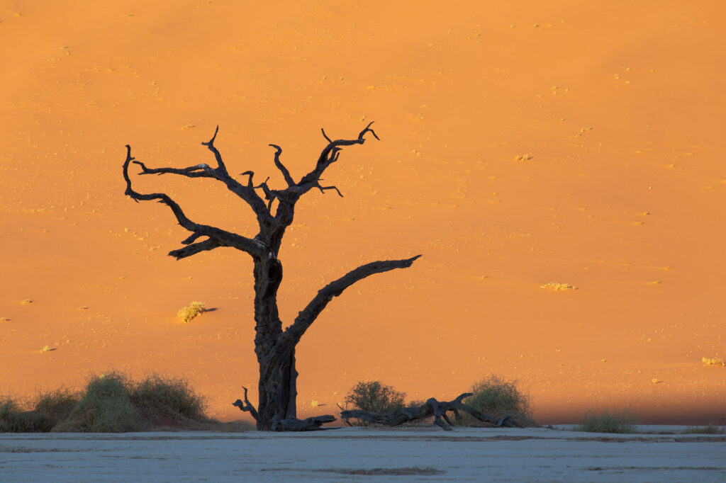 Andre Marti Namibia Landschaftsbild IMG 4332 2